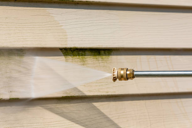 Best Pressure Washing Siding  in Fort Plain, NY